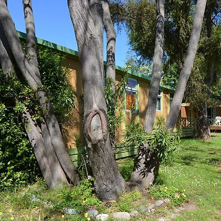 Camping Camping Marina Di 2*